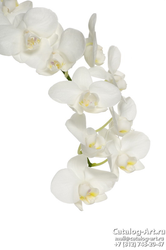Натяжные потолки с фотопечатью - Белые орхидеи 40